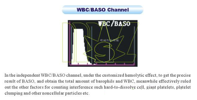 Canal WBC/BASO