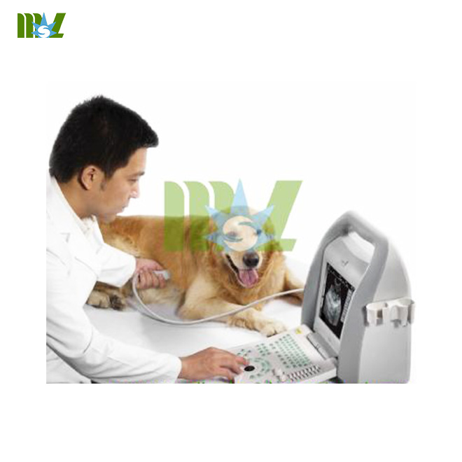 ultrasonido veterinario
