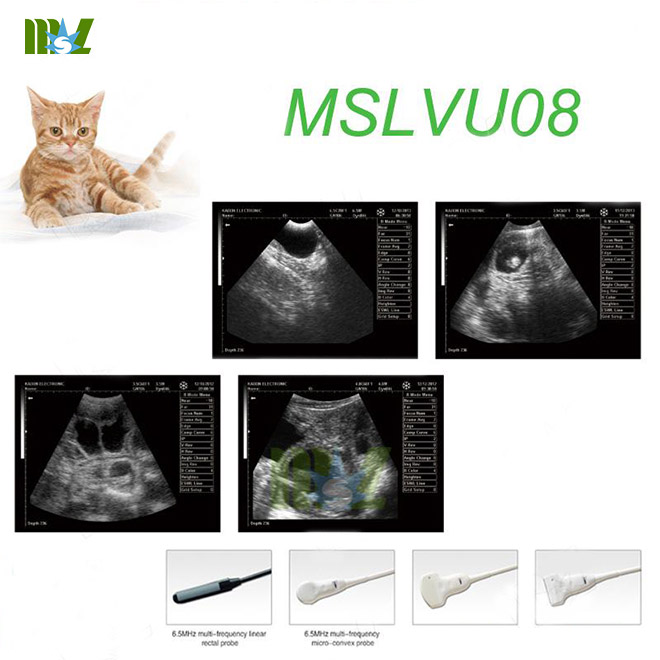 mejor equipo veterinario de ultrasonido portátil B.S.D.VU08