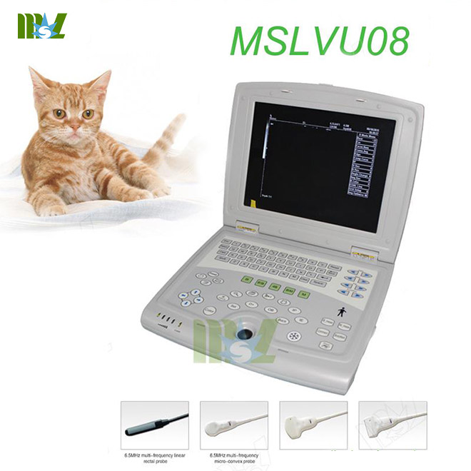 El mejor equipo de ultrasonido veterinario portátil B.S.D.VU08