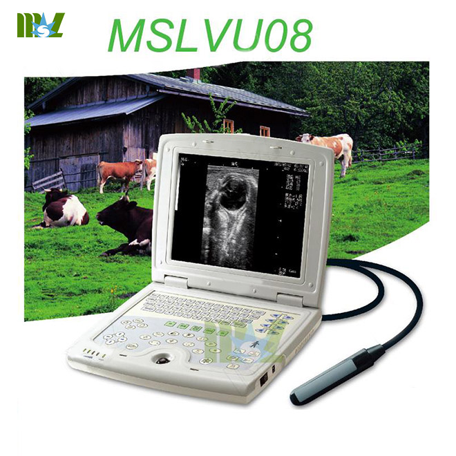 mejor equipo veterinario de ultrasonido portátil B.S.D.VU08