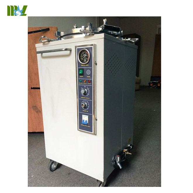 steam sterilizer price-MSLSS02 for sale