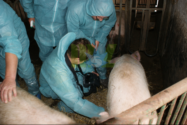 MSL Best medical veterinary ultrasound machine-MSLVU09