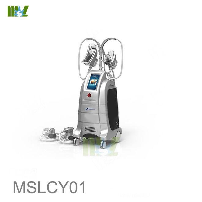 Máquina de congelación de grasa MSL MSLCY01