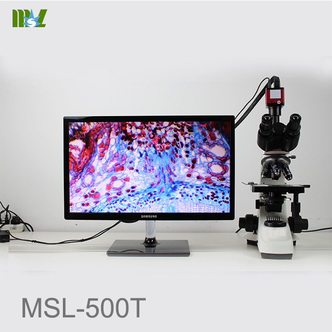 Microscopio de Luz MSL-500T