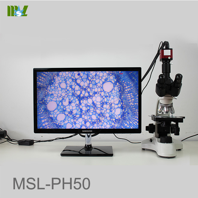 Microscopio Digital MSL-PH50