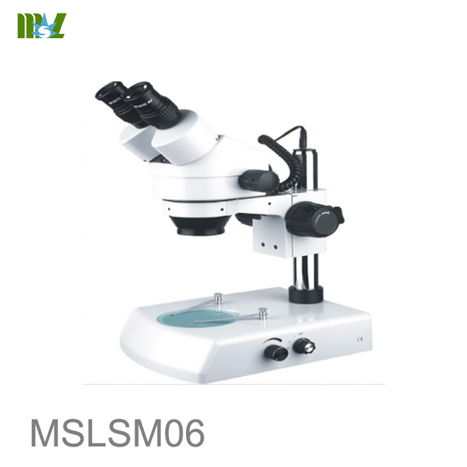 Nuevo microscopio estéreo con cámara digital
