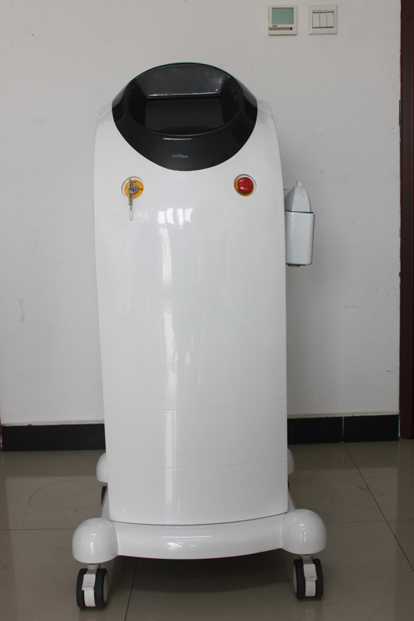 MSL skin painless hair removal MSLDL05
