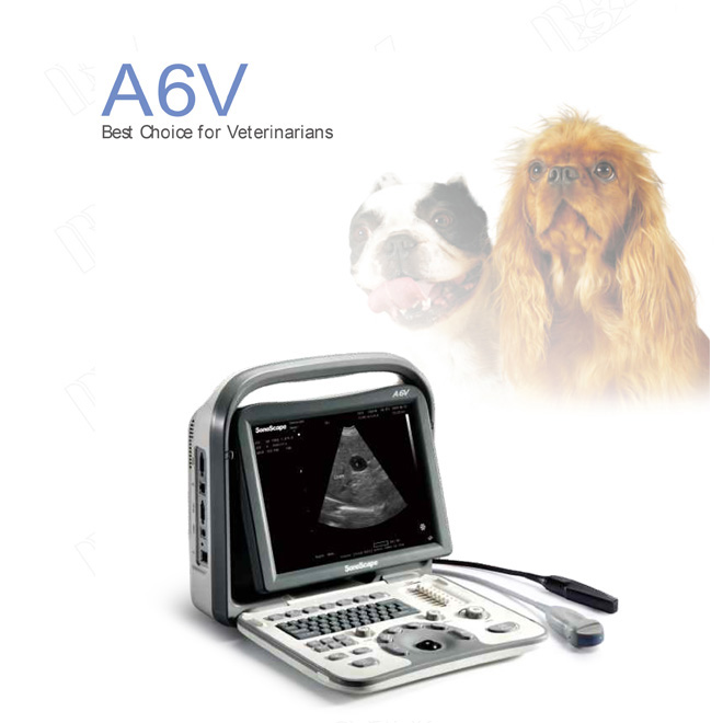 ultrasonido obstetrico costo