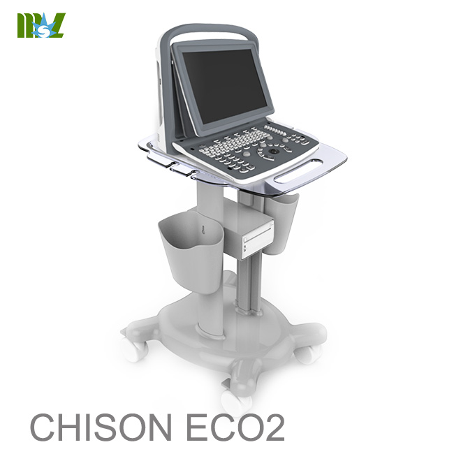 Musculoskeletal ultrasound course chison eco 2