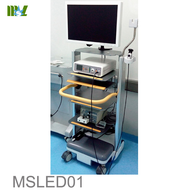endoscopio usb