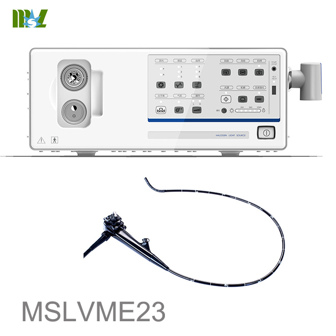 prueba de endoscopia MSLVME23