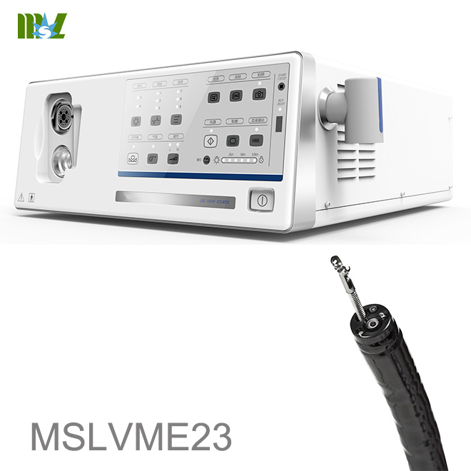 Endoscopia MSLVME23