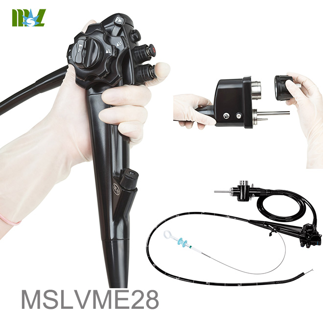 costo de endoscopia MSLVME28