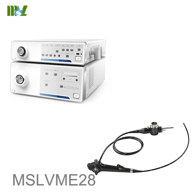 endoscopia de garganta MSLVME28