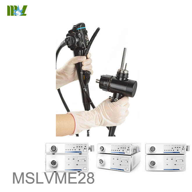 Endoscopia MSLVME28
