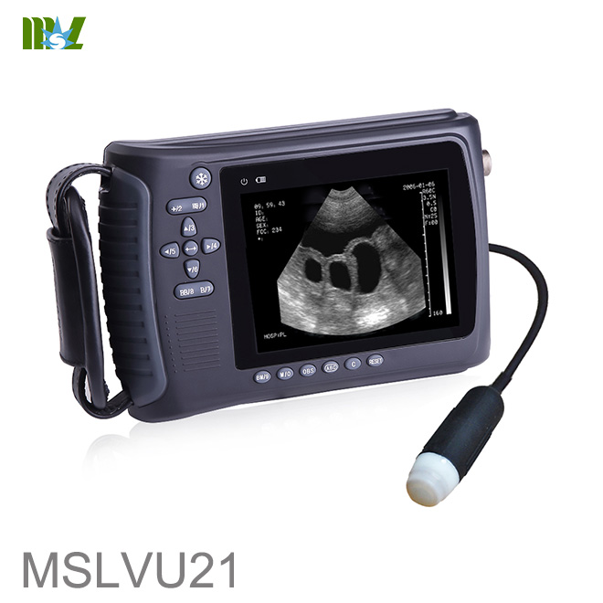 ultrasonido veterinario