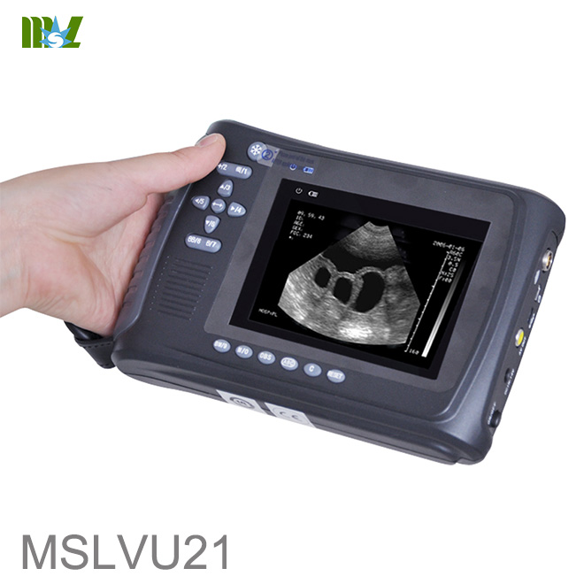 ultrasonido veterinario