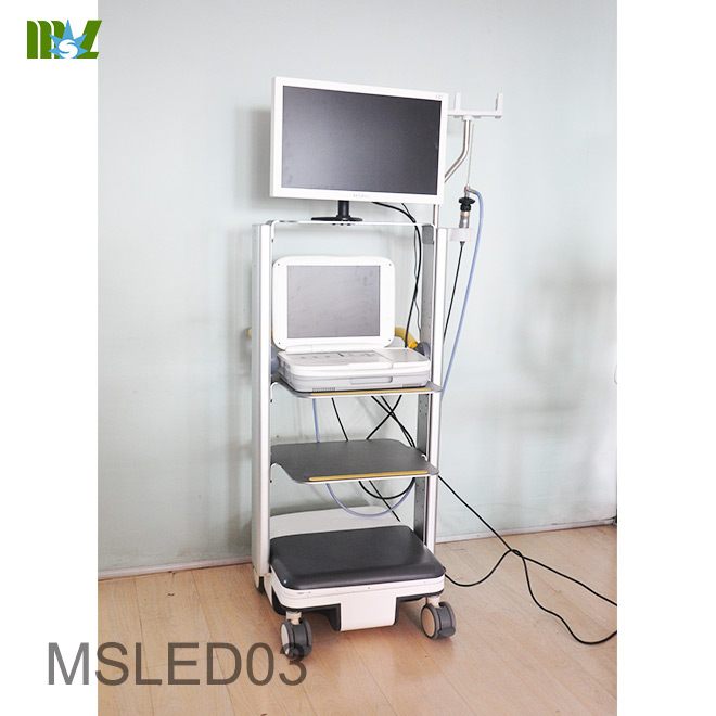endoscopio MSLED03