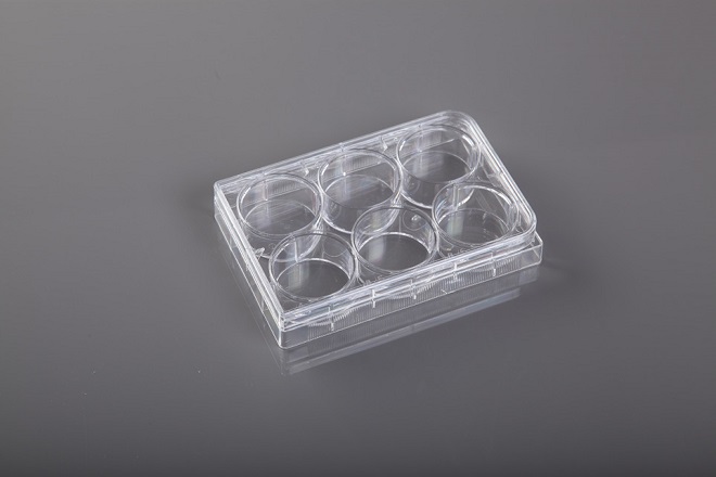 placa elisa