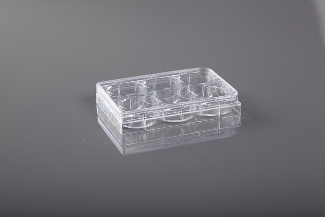 placa elisa
