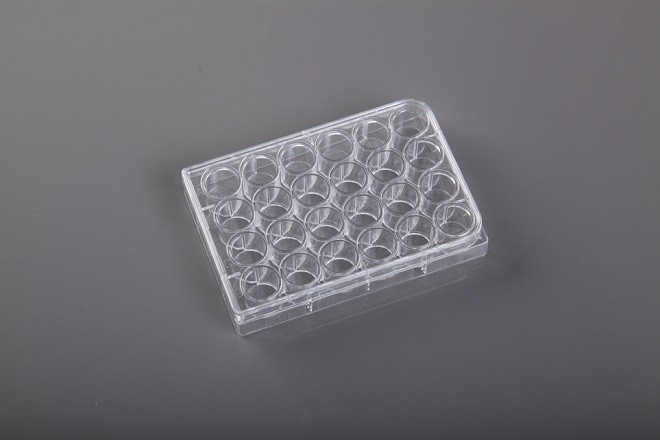 placa elisa
