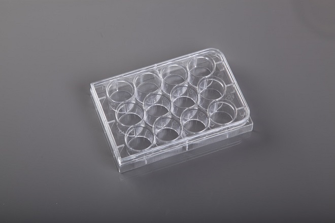 placa elisa