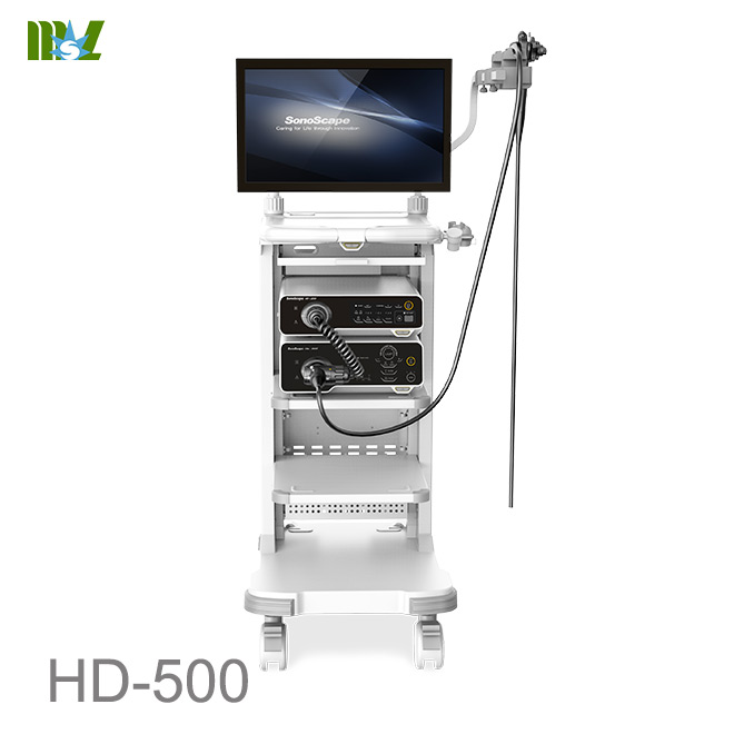 endoscopy cost