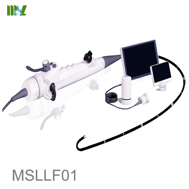 videoendoscopia