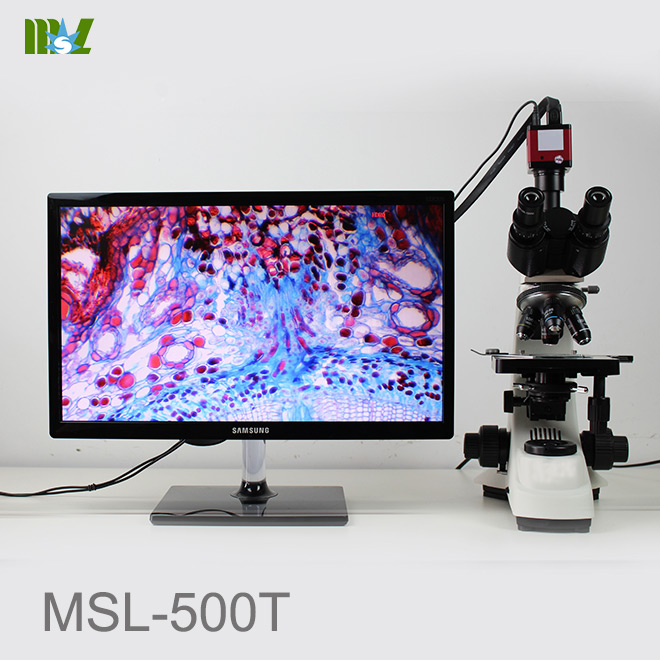 nosepiece microscope