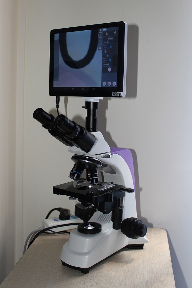 nosepiece microscope