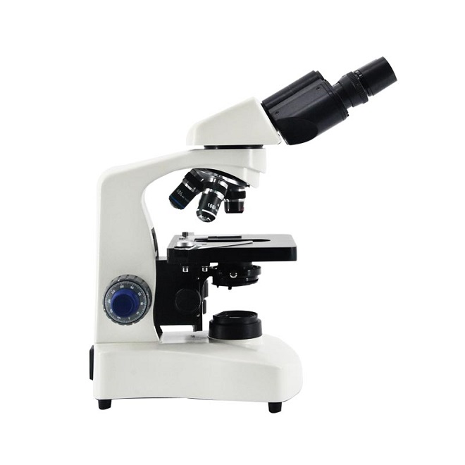 microscopía de campo oscuro