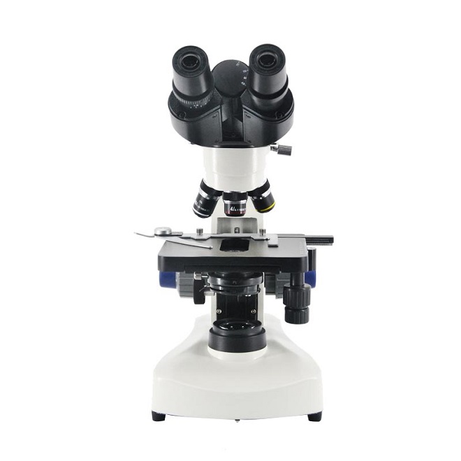 microscopía de campo oscuro