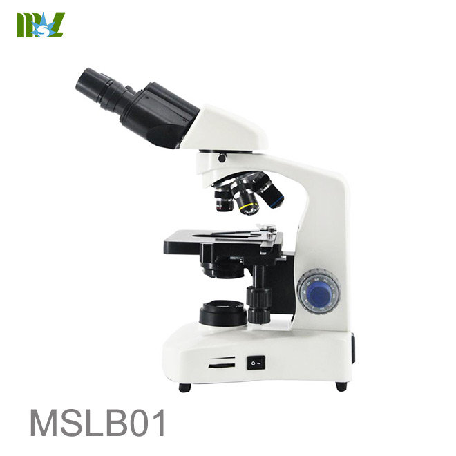 microscopía de campo oscuro