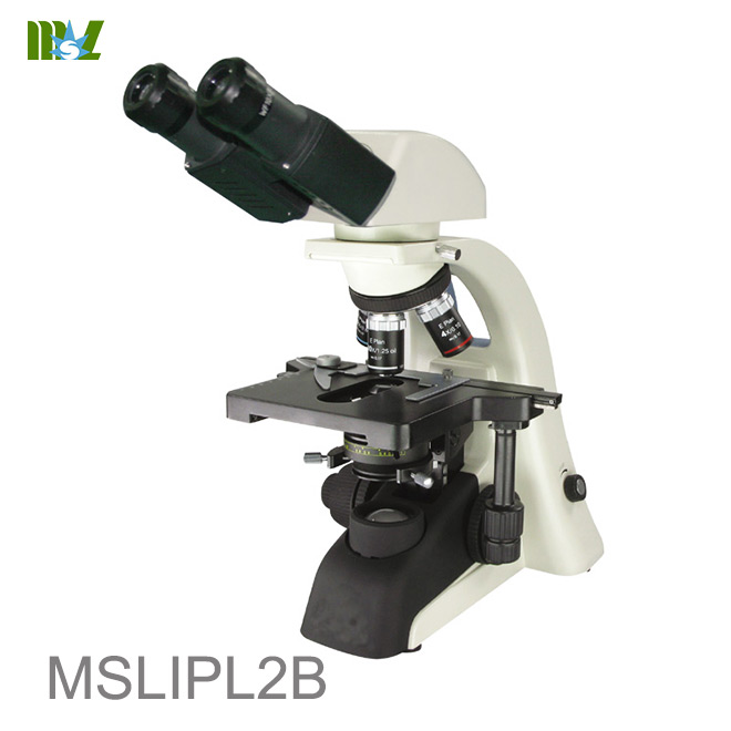 microscopio de campo amplio