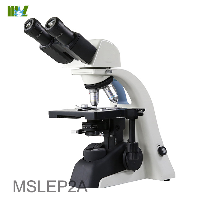 microscopio de campo amplio