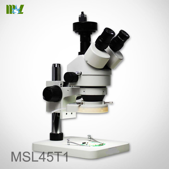 imágenes de estereomicroscopio