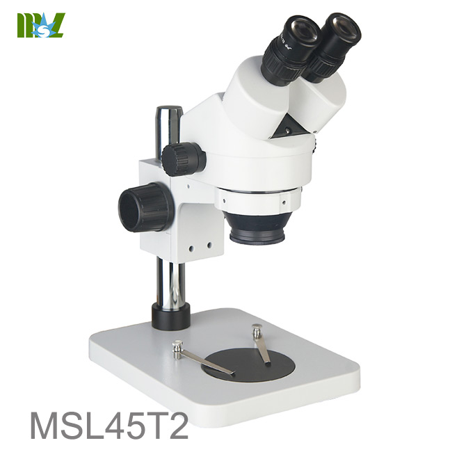 imágenes de estereomicroscopio