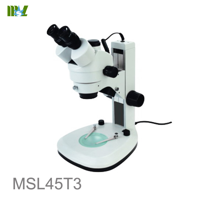 imágenes de estereomicroscopio