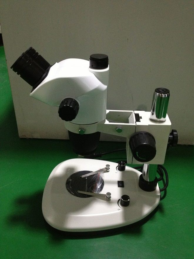 microscopía clínica