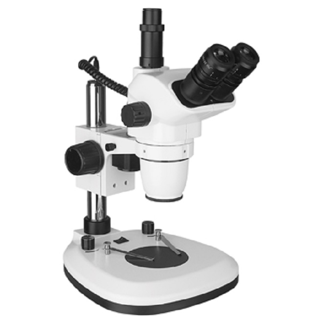 microscopía clínica