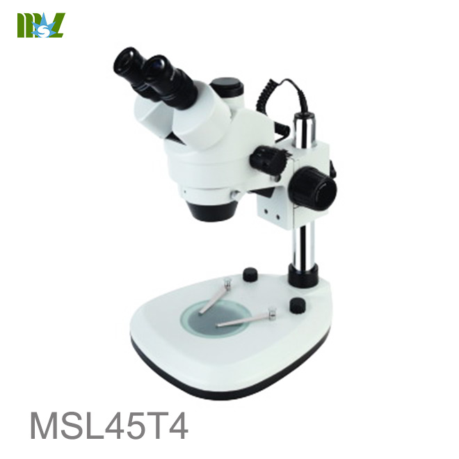 microscopía clínica