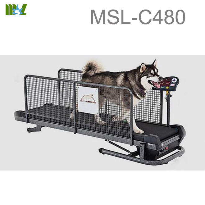 cinta de correr para perros de agua