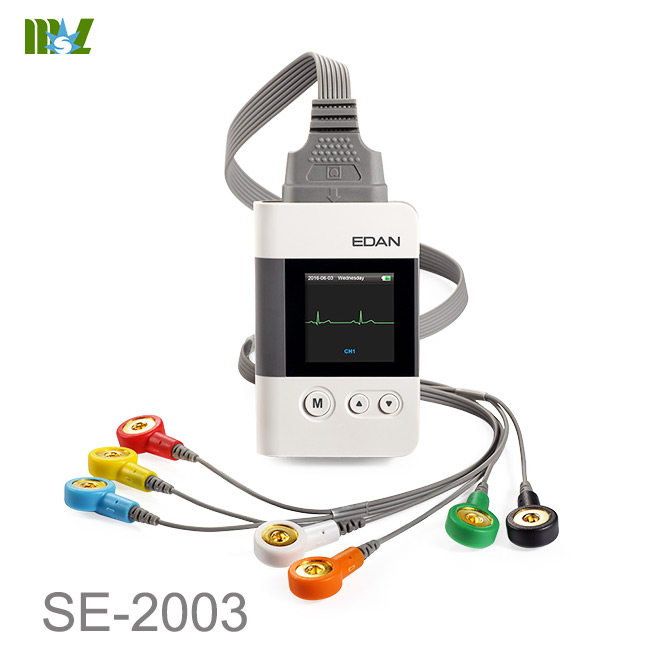 Holter System