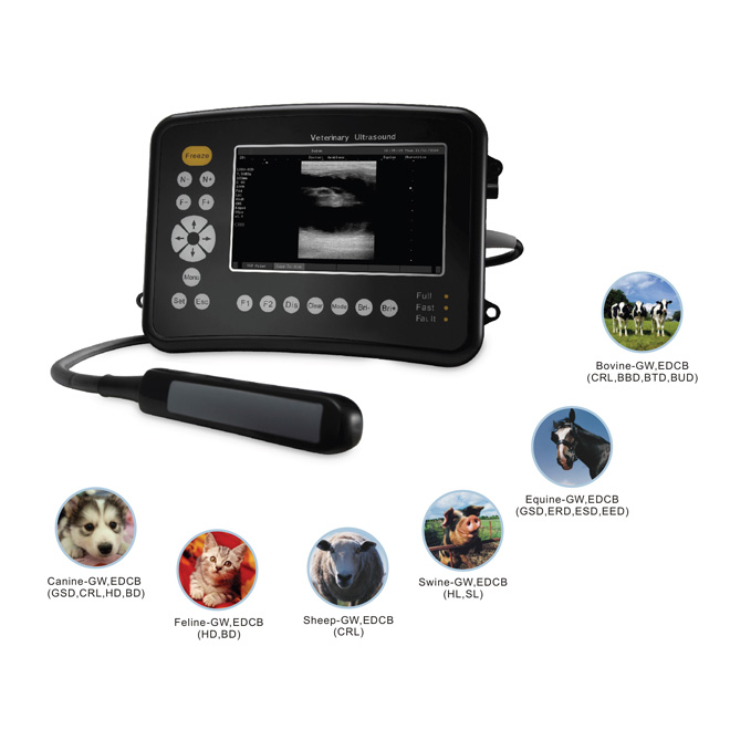 Máquina de ultrasonido para perros MSLVU26 6