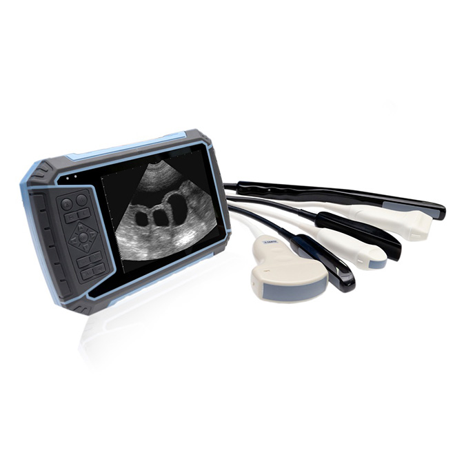 equipo de ultrasonido veterinario MSLVU27 1