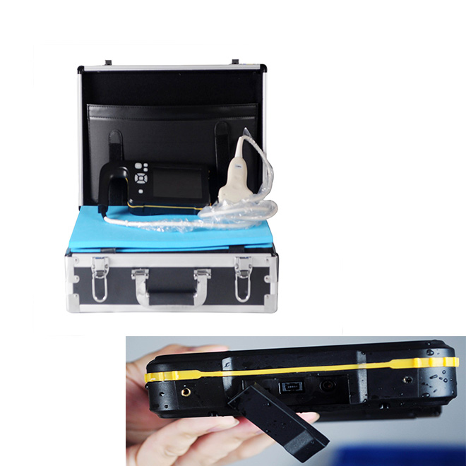 Máquina de ultrasonido para perros B.S.D.VU30 2