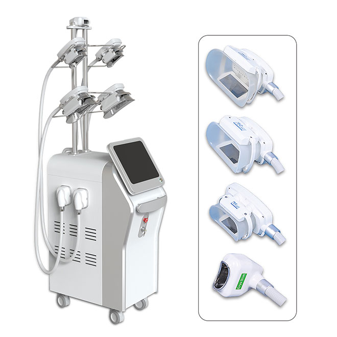 Máquina de sistema de contorno corporal de criolipólisis MSLCY13 5S-2