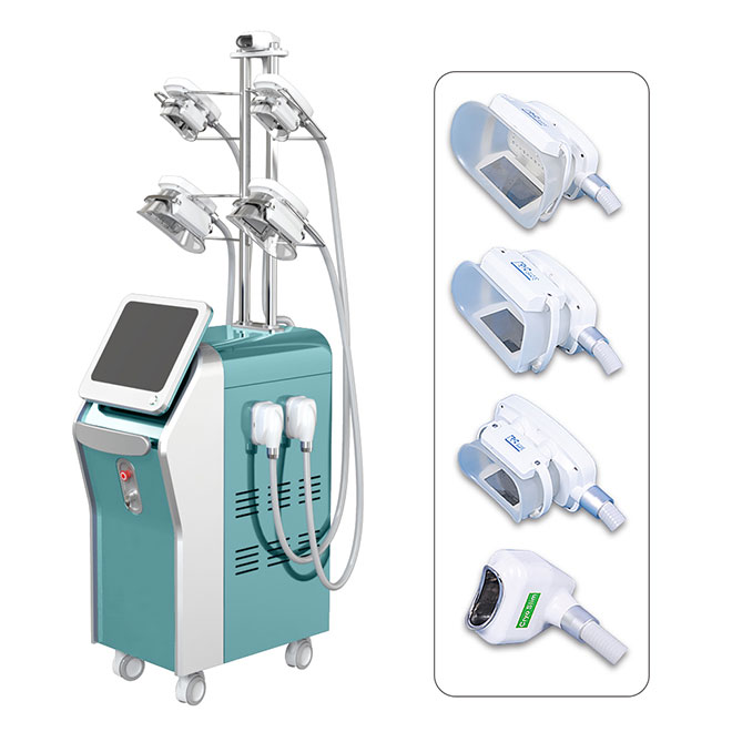 Máquina de sistema de contorno corporal de criolipólisis MSLCY13 5S-3