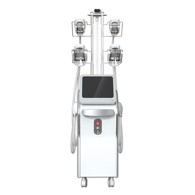 Máquina de sistema de contorno corporal de criolipólisis MSLCY13 5S-4